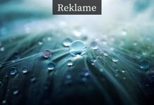 Find en stilet vaske-tørremaskine