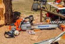 3 fordele ved at få professionel hjælp til træfældning